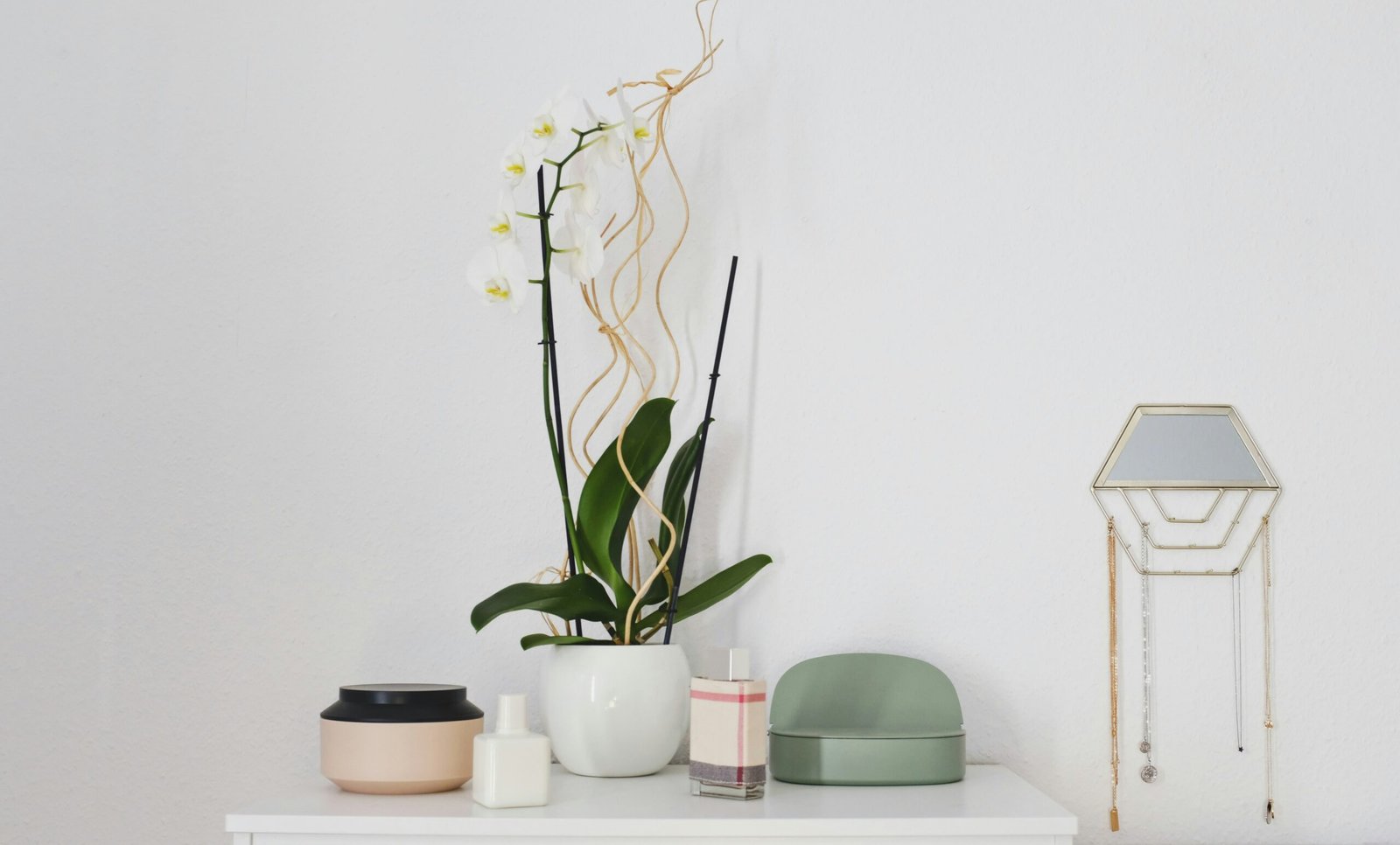 green potted plant on table